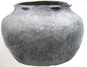 Harrington-pottery-vessel-bussell-tn1