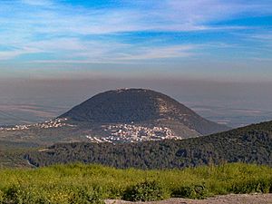 Hartavor