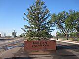 Holly, CO, spruce tree IMG 5797