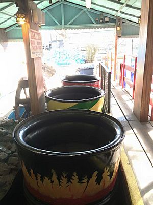 Joyland Great Yarmouth's Tyrolean Tubs