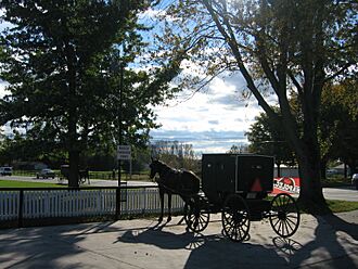 Jrb 20071024 Mennonite Amish buggy Shipshewana Indiana