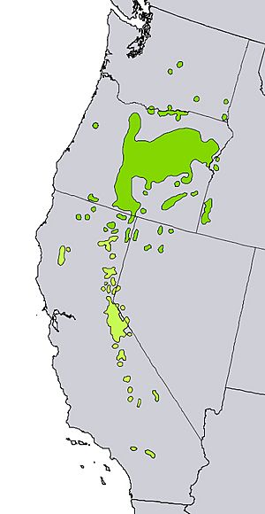 Juniperus occidentalis range map.jpg