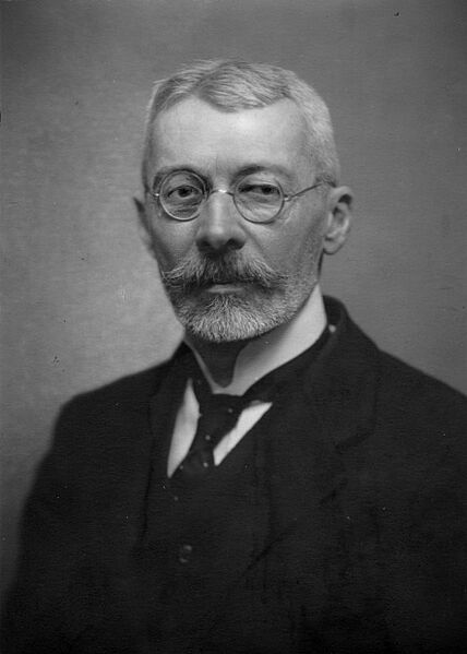 Károlyi Gyula Portré