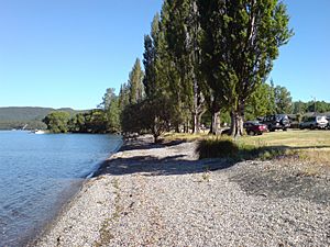 The lakeshore of Lake Taupō at Kinloch