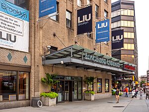 LIU Brooklyn - Entrance (48228095872)