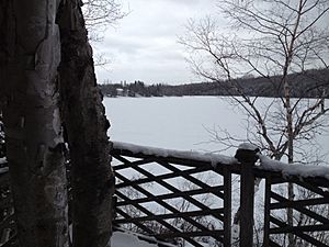 Lac des Pins, winter