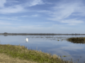 Lake Deaton - Wildwood, Florida