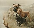 "A painting of three dogs of different sizes, the smallest black, the mid sized one is brown and the largest, a bulldog is cream. They stand on a clifftop looking into the distance."