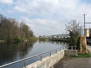 Limmat - Dietikon - Massena IMG 6096