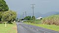 Looking down Bartle Frere Road, rain falling on distant mountains, Bartle Frere, 2018