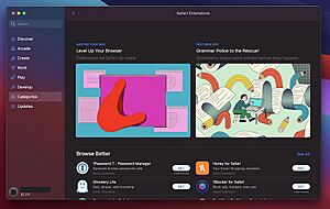MacOS Big Sur - Safari Extensions category in App Store