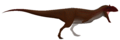 Majungasaurus size reference