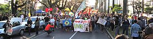 Manifestação pela Amazônia, Porto Alegre, 24ago2019