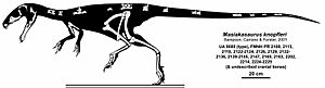 Masiakasaurus knopfleri