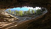 Milodon cave.JPG