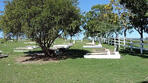 Mulgildie Cemetery, Burnett Highway, 2014 02