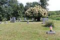 Old Cochecton Cemetery, Cochecton, NY