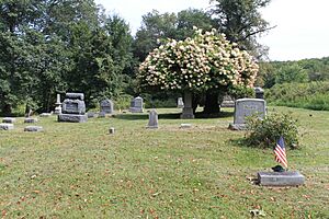 Old Cochecton Cemetery, Cochecton, NY