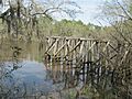 Old Valdosta Railway Bridge on the Withlacochee River
