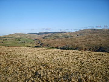 On Cold Fell - geograph.org.uk - 1621368.jpg