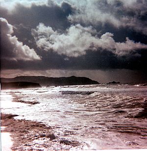 Pacifica1983