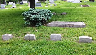 Parke T. Burrows grave