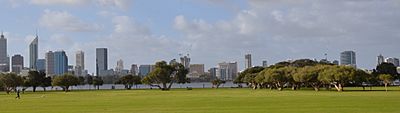 Perth city skyline and melaleucas