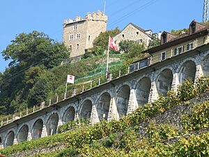 Puidoux Tour Marsens