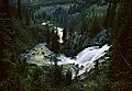 Ragged Falls YNP