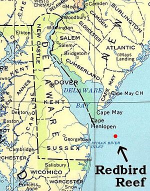 Redbird Reef 01