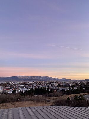 Reykjavik view