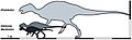 Rhabdodontidae Adult Body Sizes