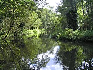 River Wey Moor Park.jpg