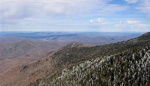 Roan-mountain-north-slope-tn1