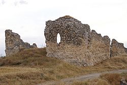 Ruinas del convento de Santa María de Oreja