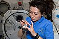 STS131 Naoko Yamazaki Apr14