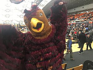 Saint Joseph's Hawk mascot up close 2018