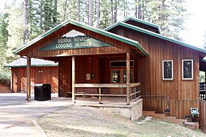 Sierra Nevada Logging Museum building 2017-06-30.jpg
