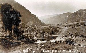 Silverstream Whare Flat postcard