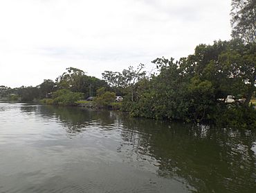 Southern bank Tweed River at Chinderah, New South Wales.jpg