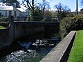 St David Street Footbridge and Leith Stream, Dunedin, NZ