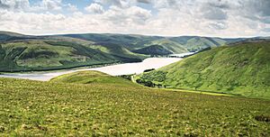 St Mary's Loch and Loch of the Lowes