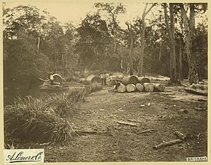 StateLibQld 1 234806 Preparing logs for rafting on the Noosa River, Noosa, 1889
