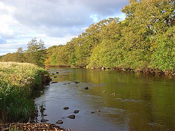The River Rede - geograph.org.uk - 591983.jpg