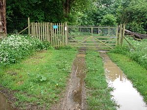 The Way In - geograph.org.uk - 436435.jpg