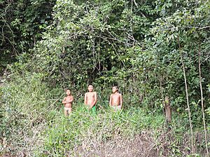 Three Pemon Men