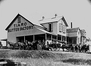 Tiaro Butter Factory which was moved to Murgon in 1913