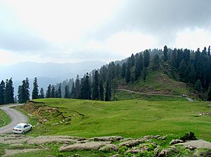 Toli Pir road