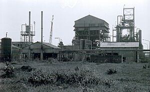 Union Carbide pesticide factory, Bhopal, India, 1985