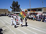 Vacas, alumnos de la Escuela Experimental